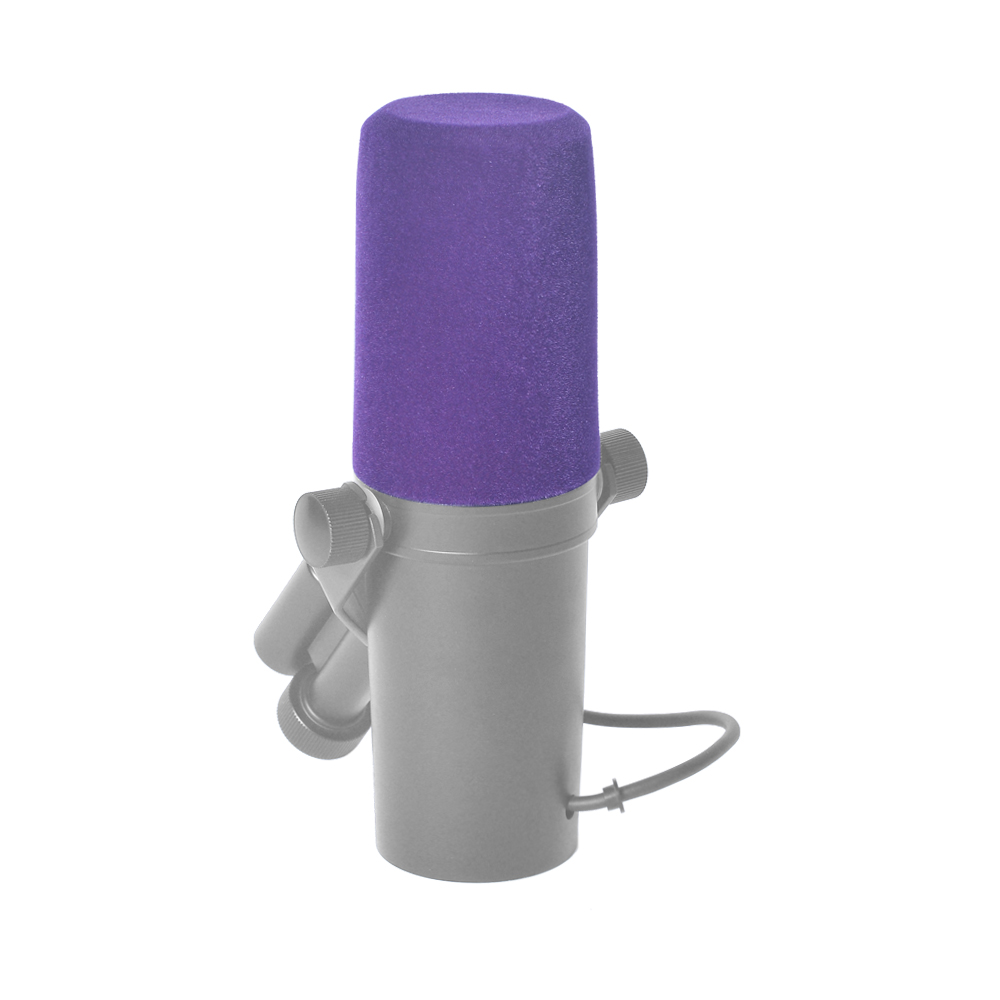 Professioneller Mikrofon-Winds – Shure Mic Sm7B Bewertung und Preis